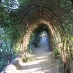 Park Guell